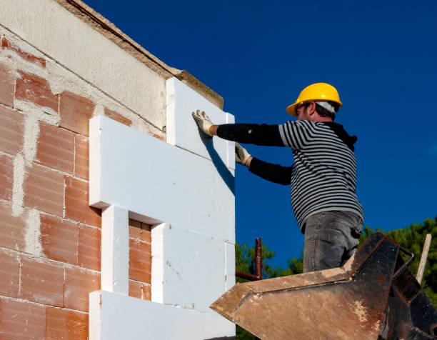 Professional Insulation Contractor in Rancho Alegre, TX