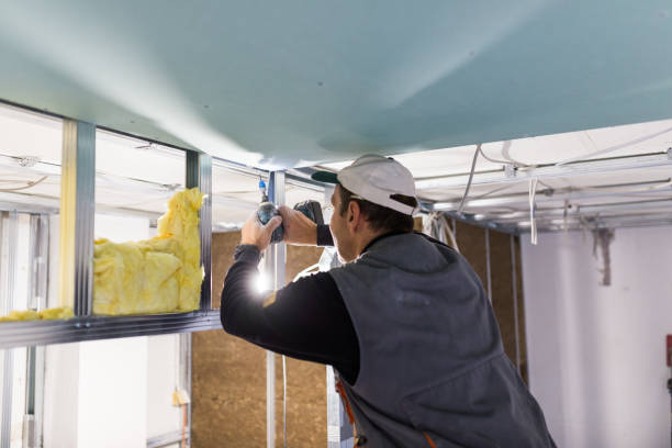 Best Blown-in Insulation in Rancho Alegre, TX
