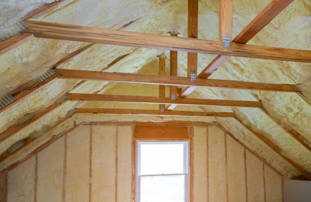 Best Fiberglass Insulation in Rancho Alegre, TX