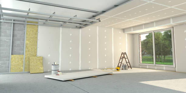 Best Insulation Maintenance and Repair in Rancho Alegre, TX
