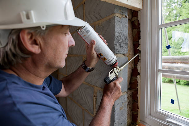 Best Residential Insulation in Rancho Alegre, TX