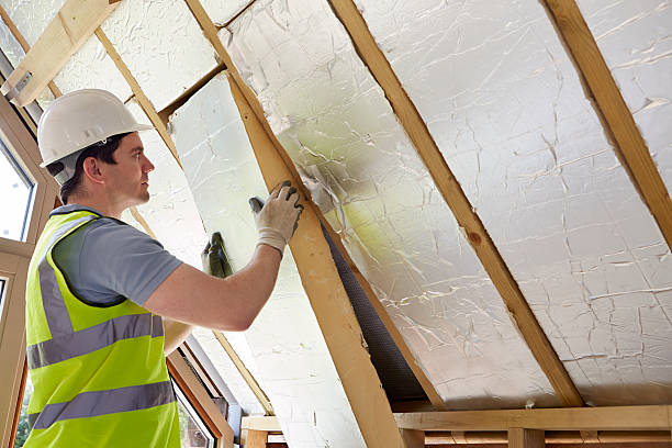 Best Insulation for Specific Applications in Rancho Alegre, TX