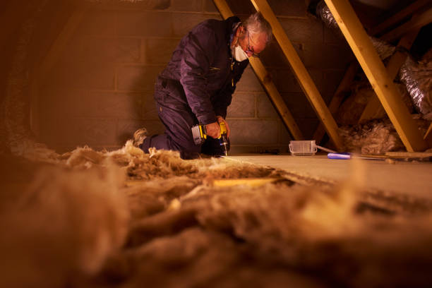 Best Eco-Friendly Insulation in Rancho Alegre, TX
